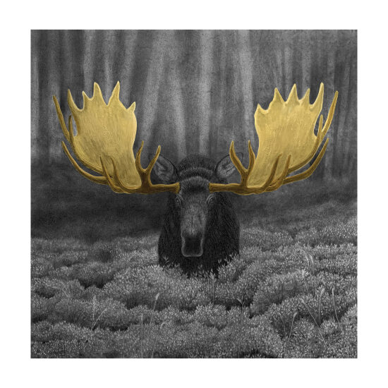 Le Roi